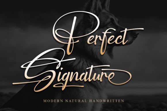 Download Perfect Signature - Sign Collection